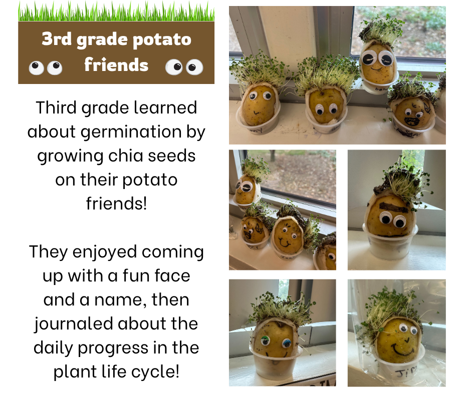 Potato friends!