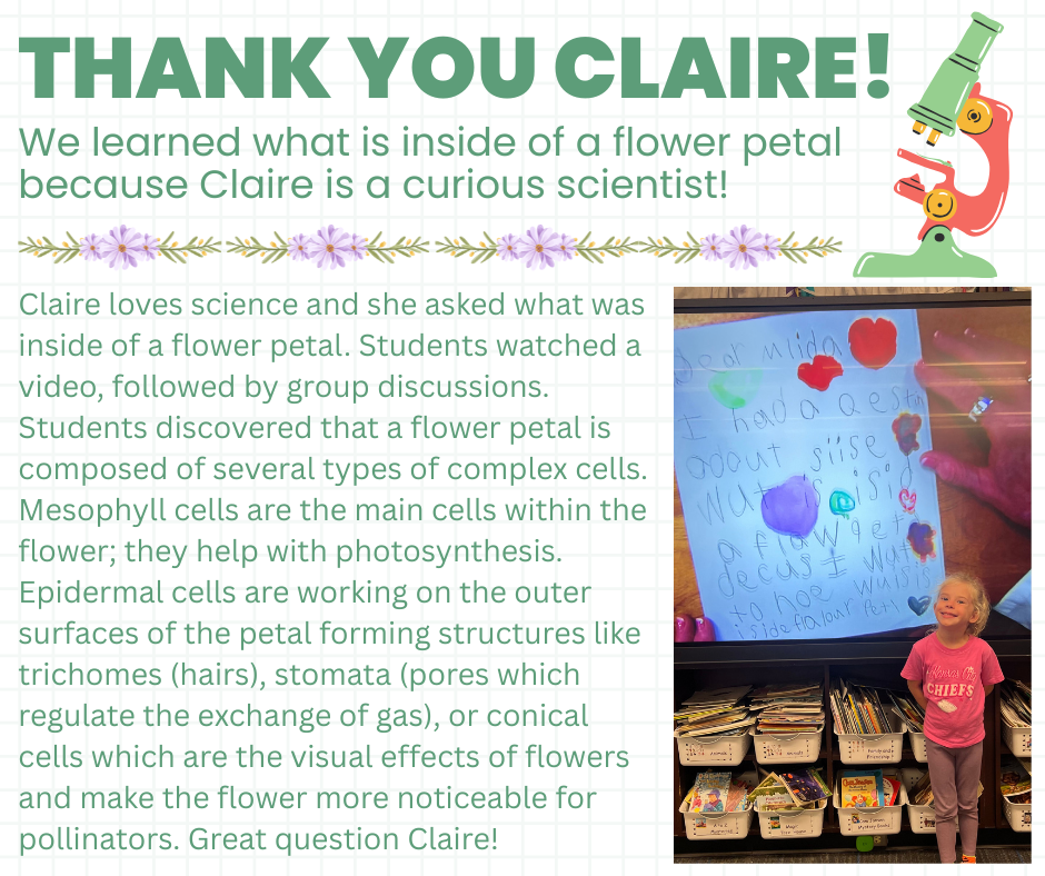 Curious Claire!