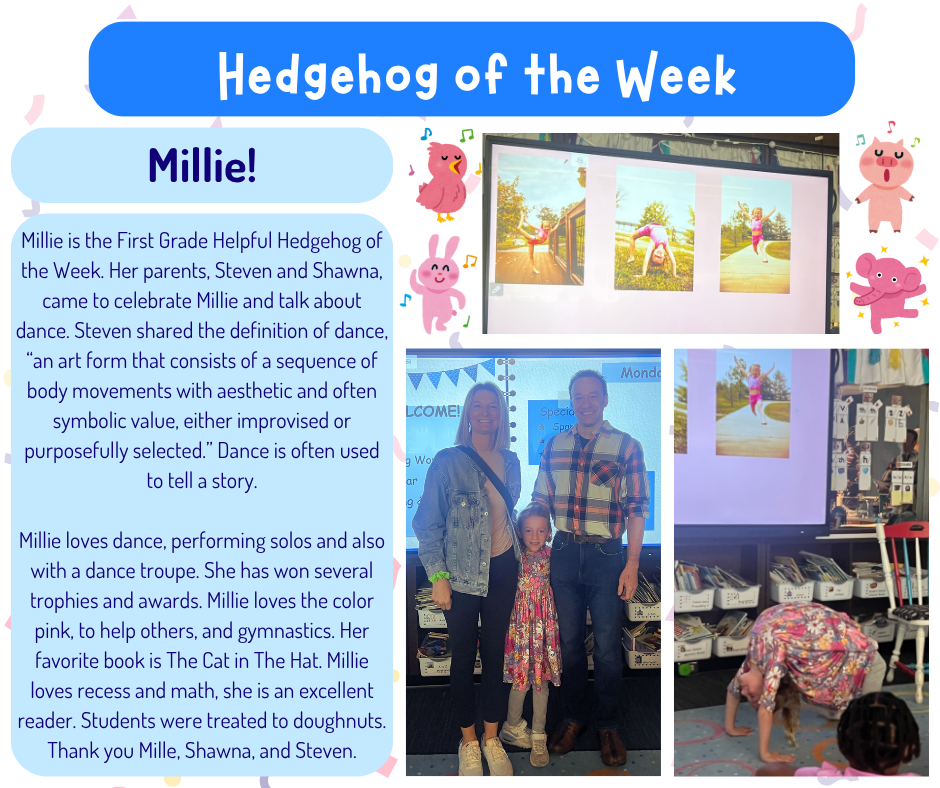 Hedgehog of the Week - Millie!