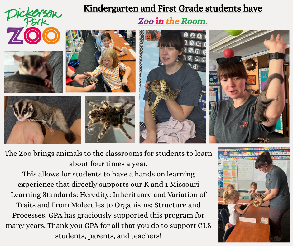 Kindergarten and First Grade students have Zoo in the Room.