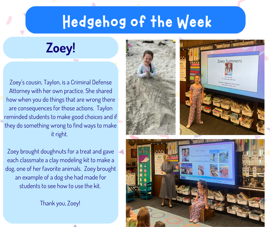 Hedgehog of the week is Zoey! 2
