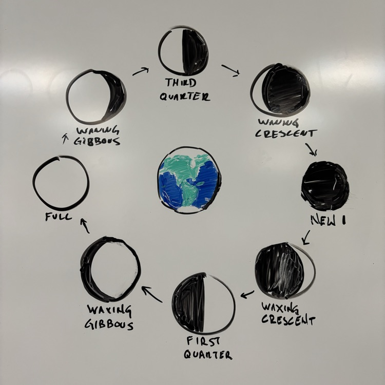 Thank you Mr.McGowan for such a great illustration model