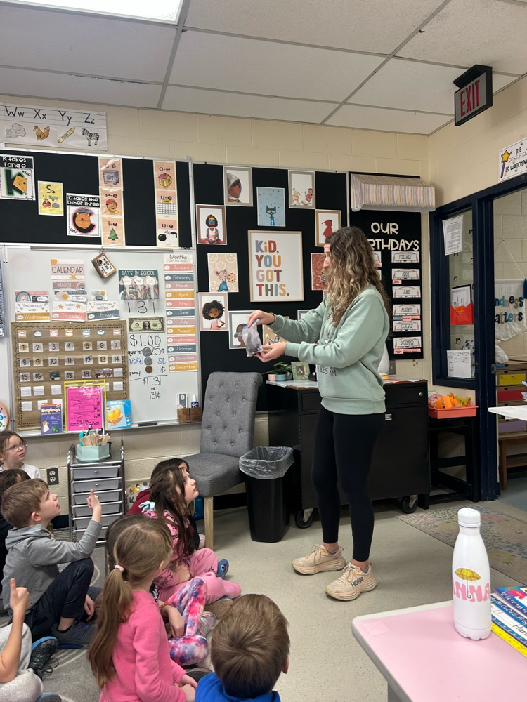 students look at organic material to decide if it can be composted 