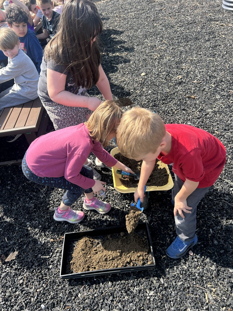 students use dirt to fill the base layer of their greenhouse 