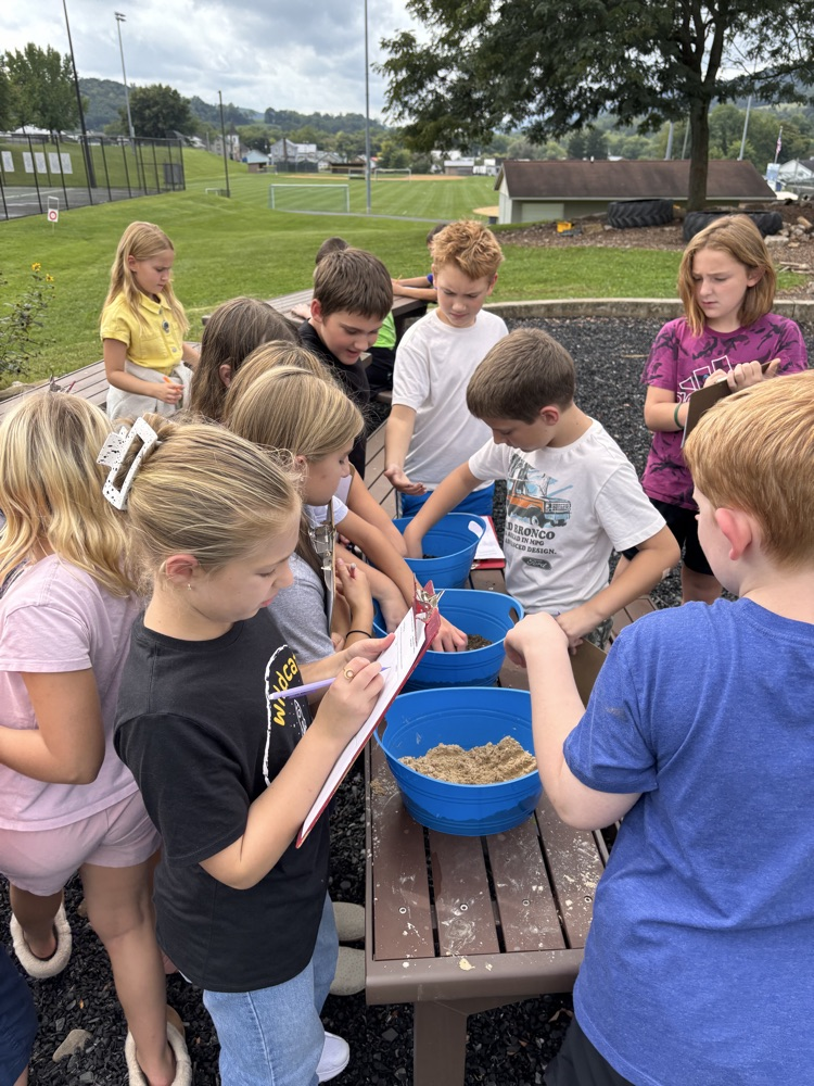 students examining soil composition