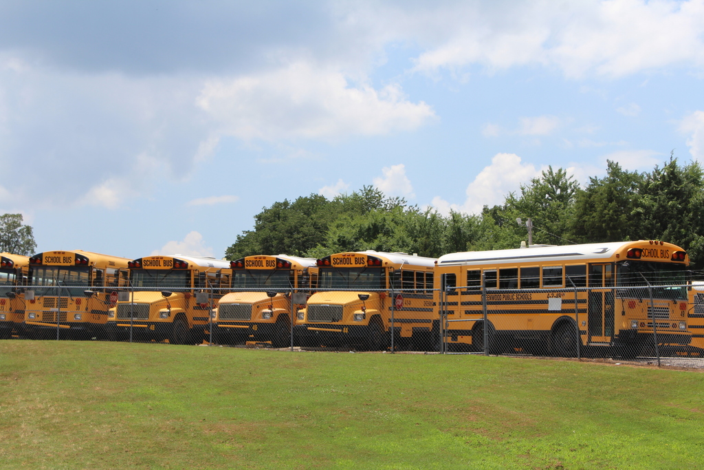 BUS picture