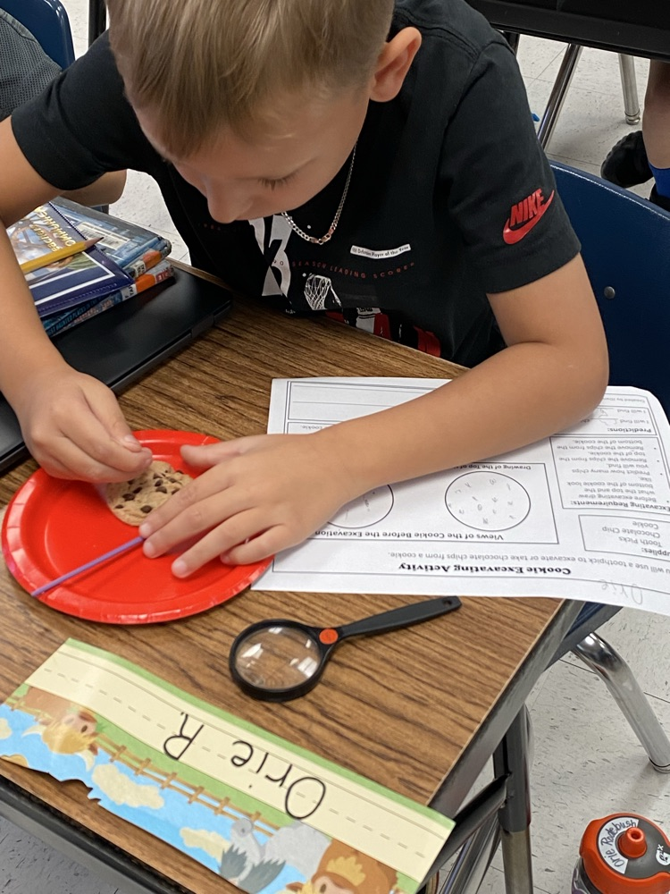 mrs. Moore’s class digging for fossils