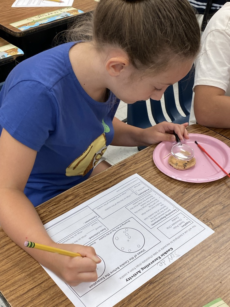 Mrs. Moore’s class digging for fossils