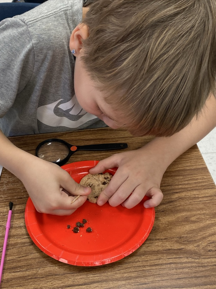 Mrs. Moore’s class digging for fossils