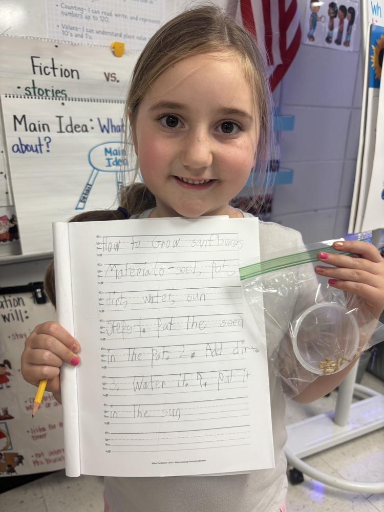 first grade doing informative writing about sunflowers 