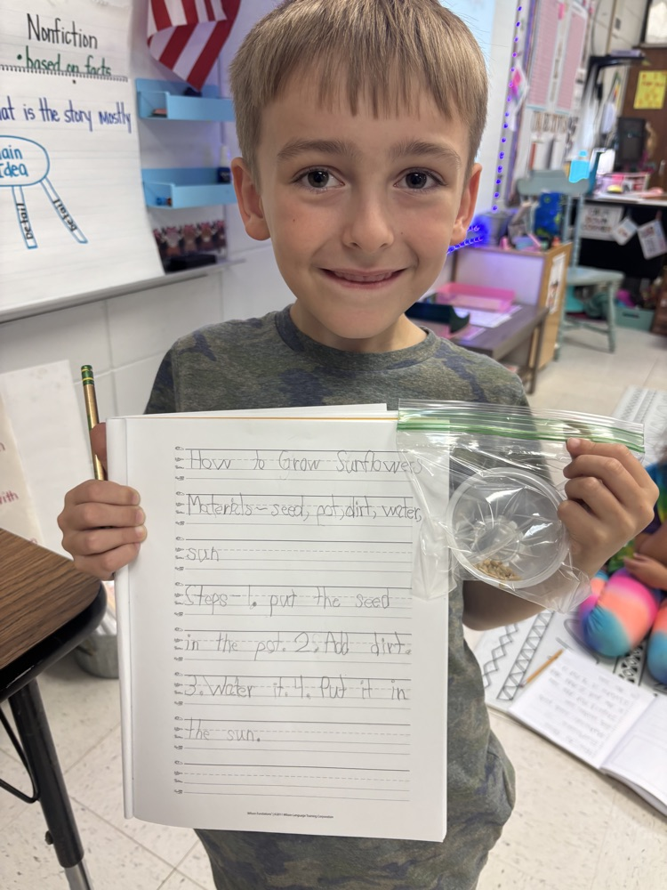 first grade doing informative writing about sunflowers 