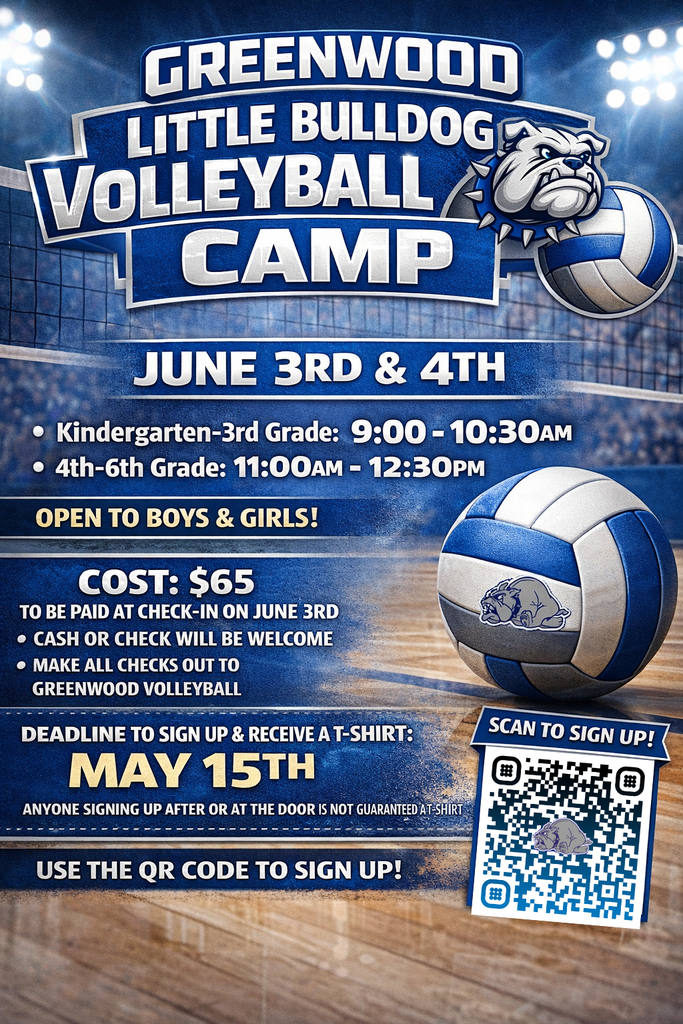 volleyball camp flyer
