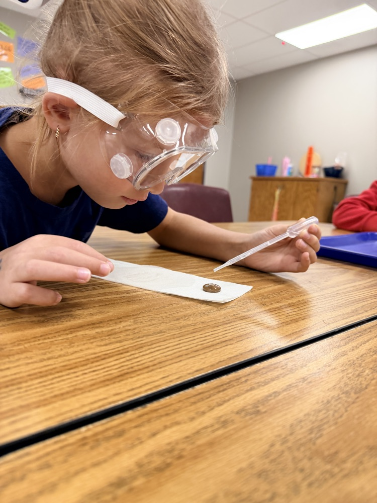 FabLab second graders are channeling their natural curiosity into science learning!