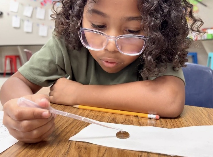 FabLab second graders are channeling their natural curiosity into science learning!