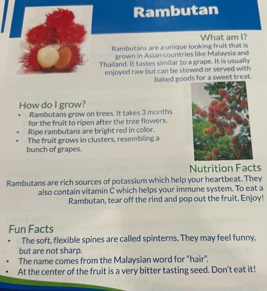 Rambutan