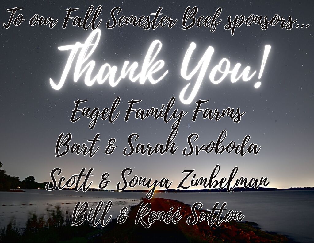 Thank you! 