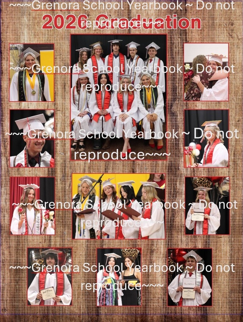 Preview of annual 2