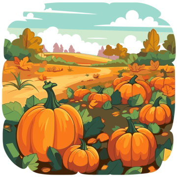 pumpkin patch