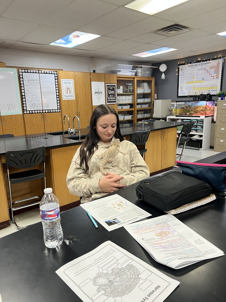 Anatomy and Physiology