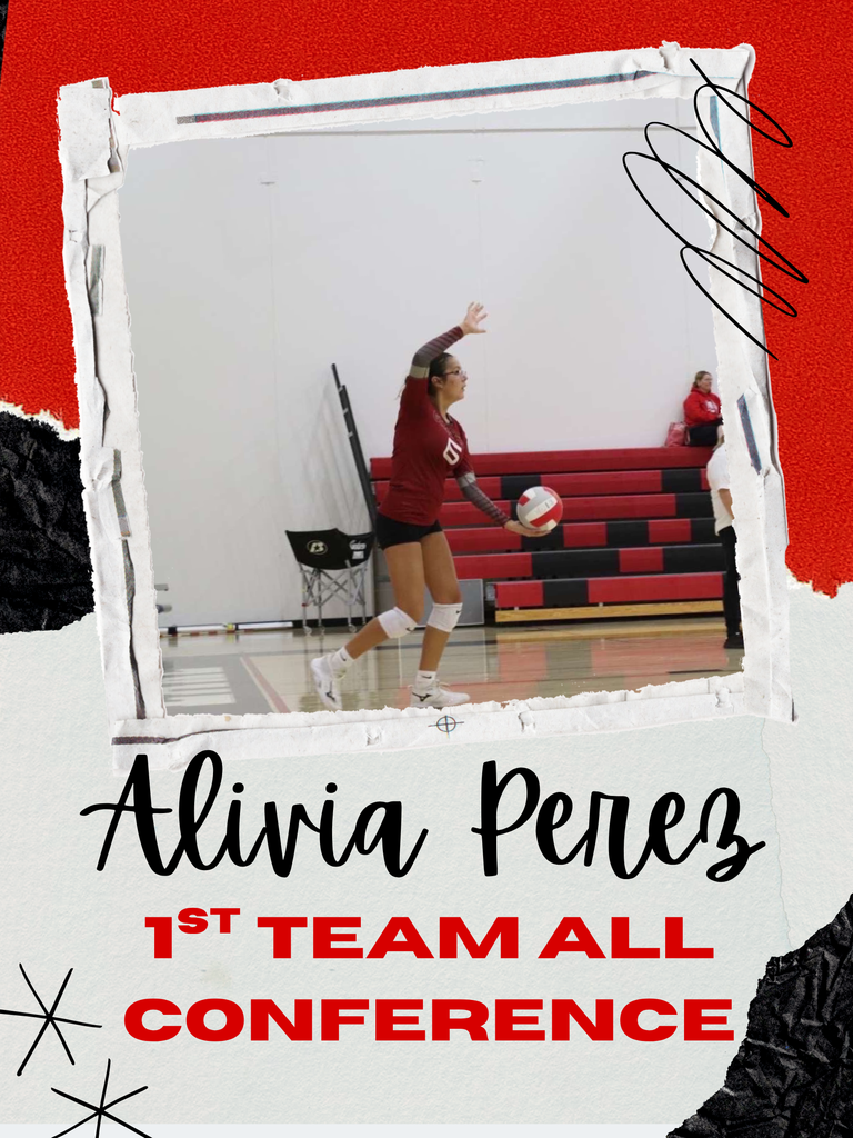 All Conference Volleyball Players