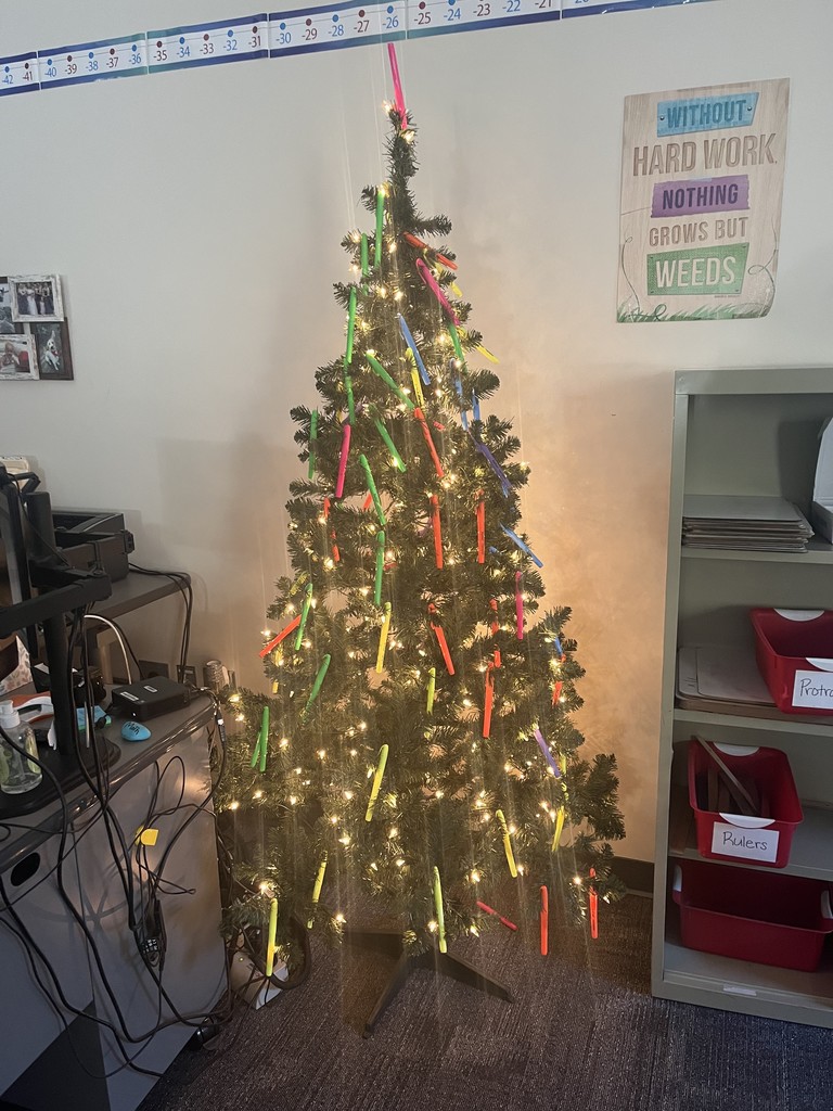 7th Grade Boys Decorate Ms. Welcings Tree