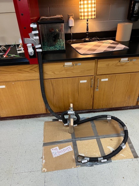 Roller Coaster Building