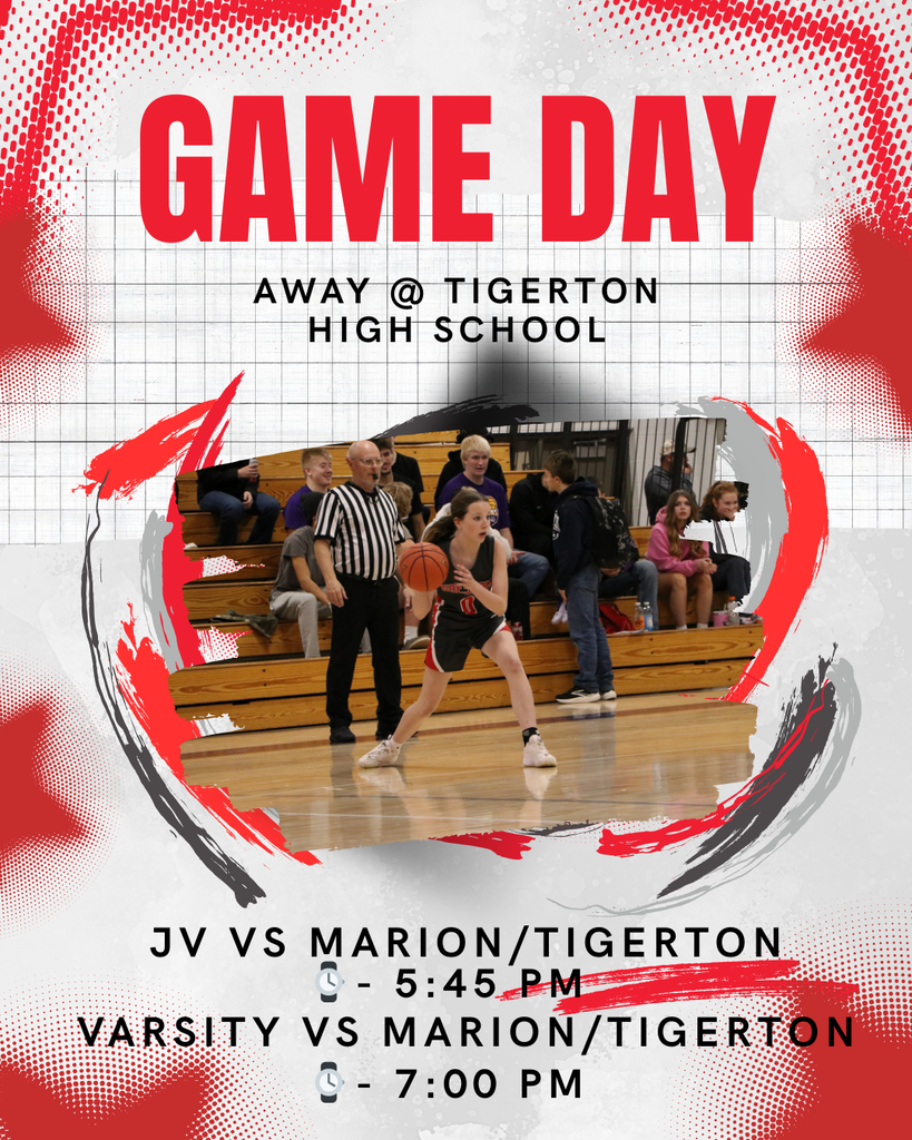 Lady Wildcats Gameday