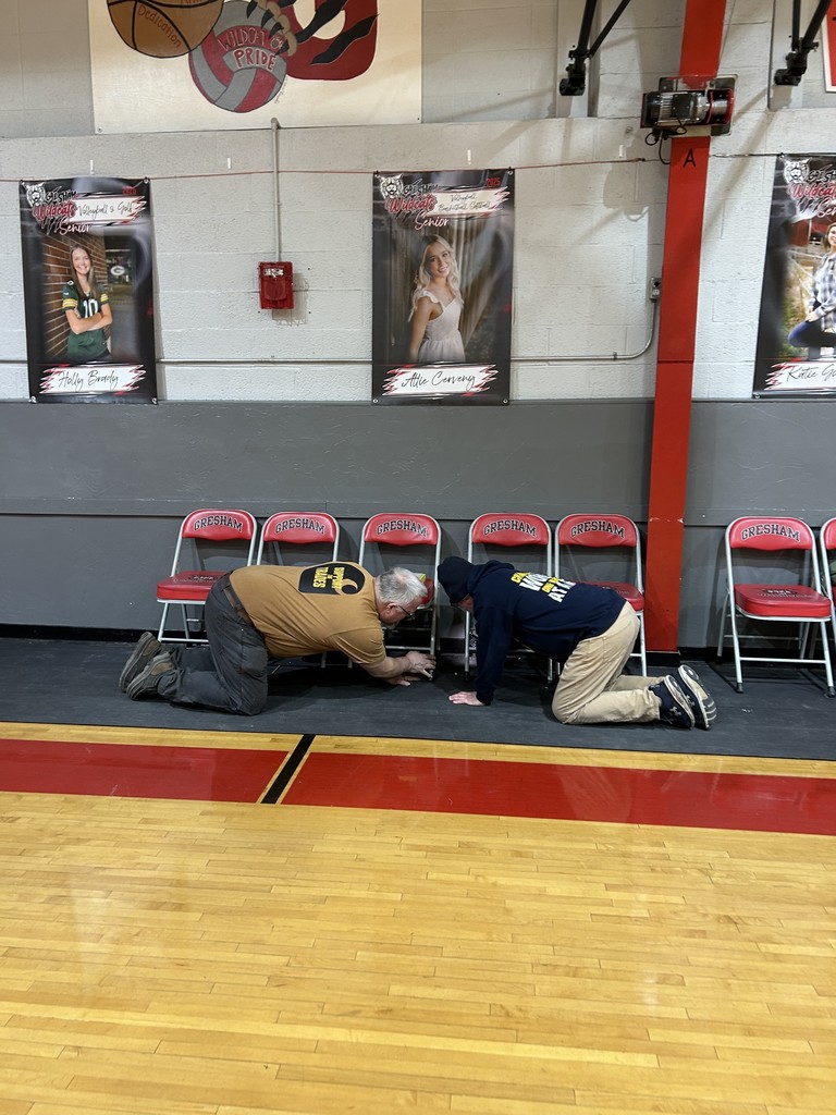 Blue & Gold Night - CORNHOLE TOURNAMENT