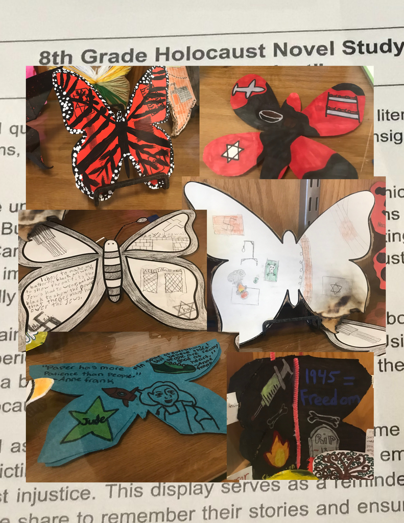 Butterfly Project 