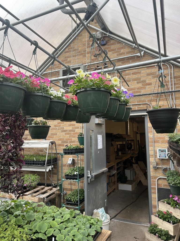 plant sale