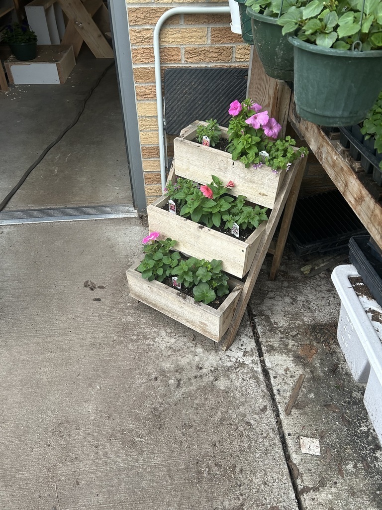 plant sale