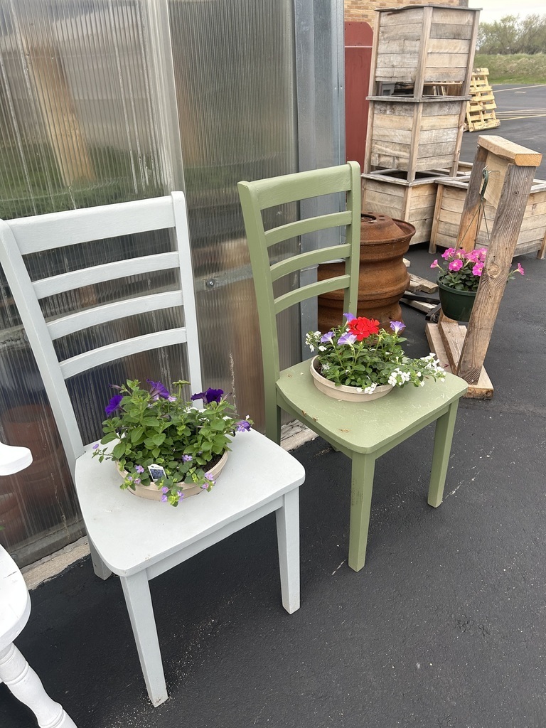 plant sale