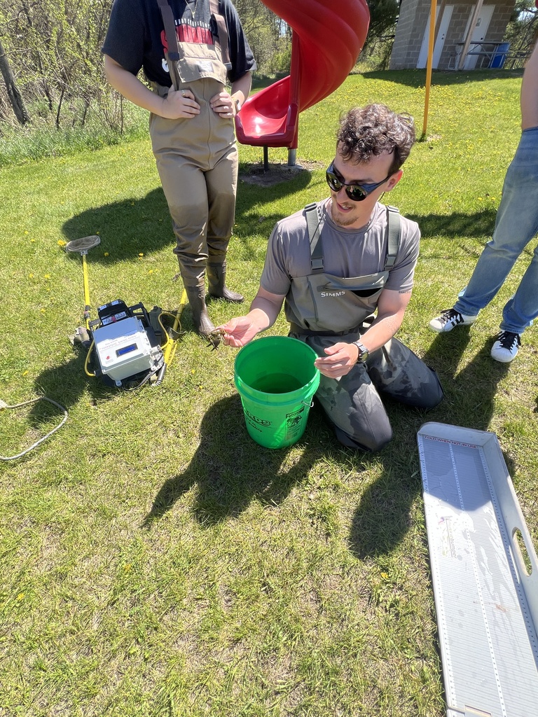 Environmental Sciences