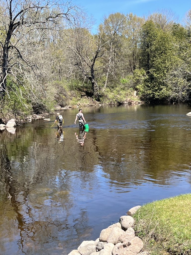 Environmental Sciences