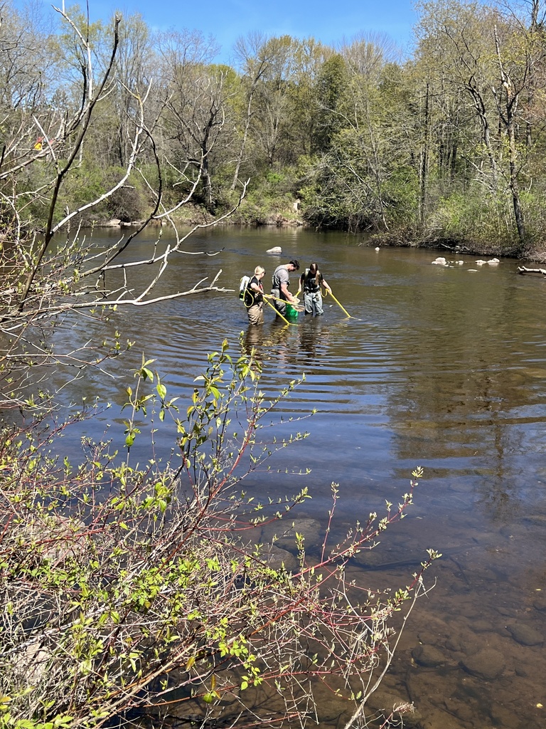Environmental Sciences