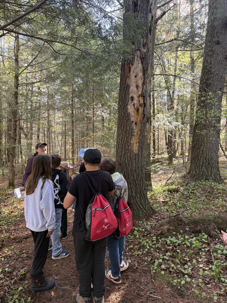 4th field trip