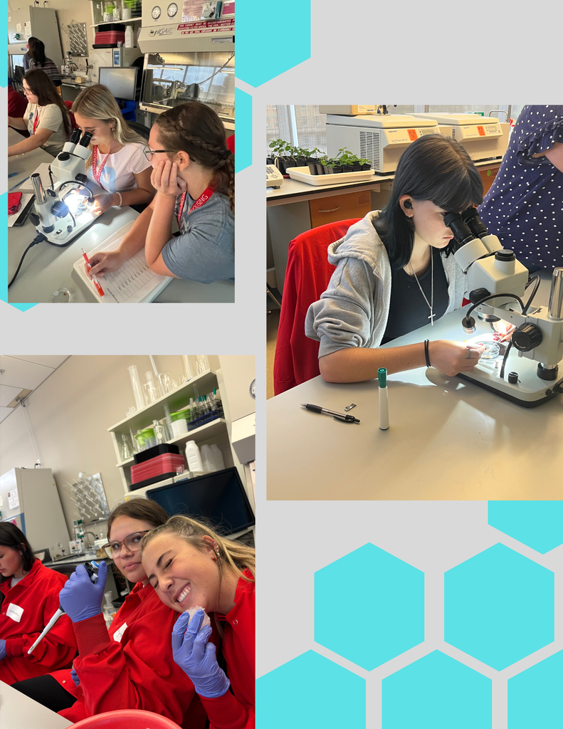 science camp