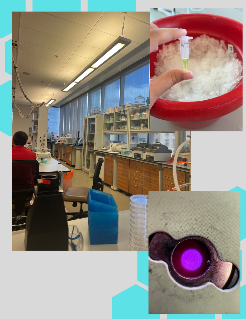 science camp