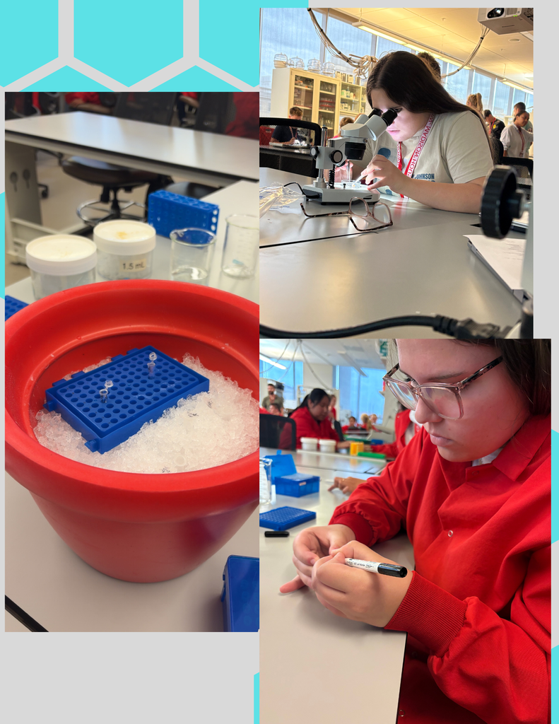 science camp