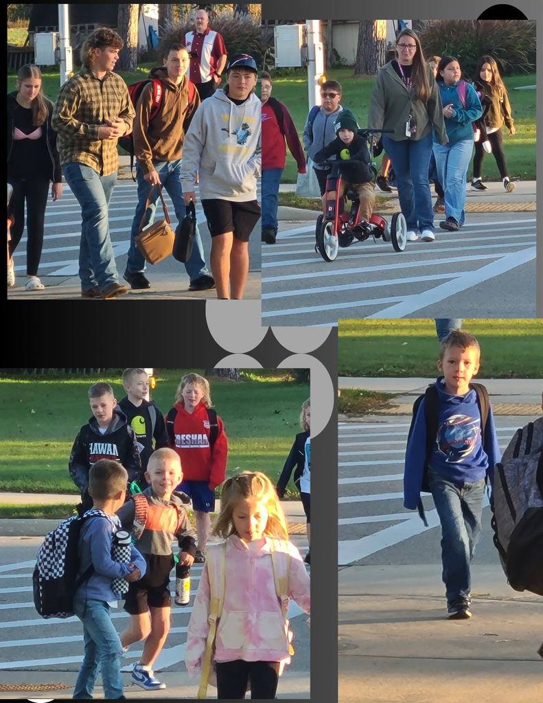 walk to school day
