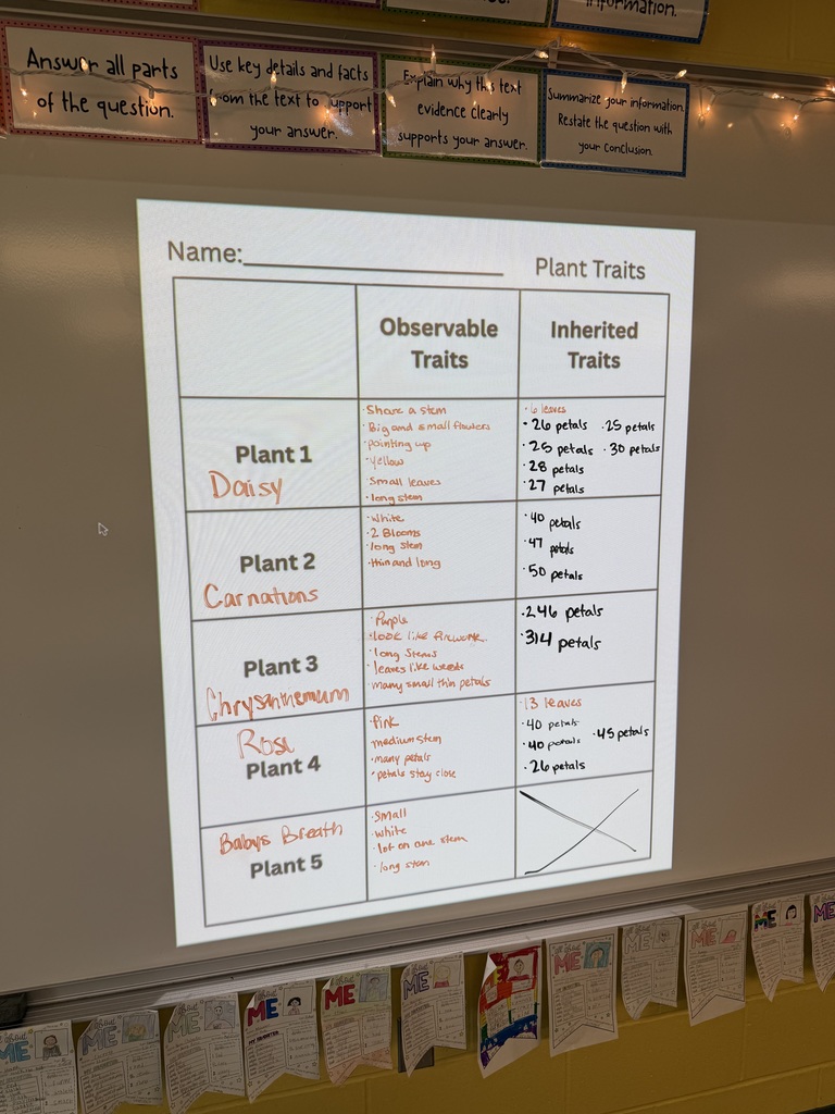 The worksheet students filled out over the types of traits projected onto the board.