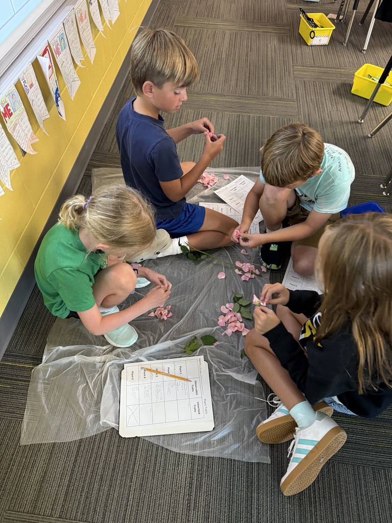 Four students sitting in a circle counting the number of petals on a rose.