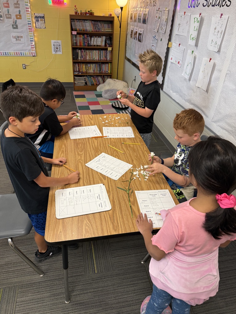 Five students sitting at a table working together to count the amount of petals on a carnation.