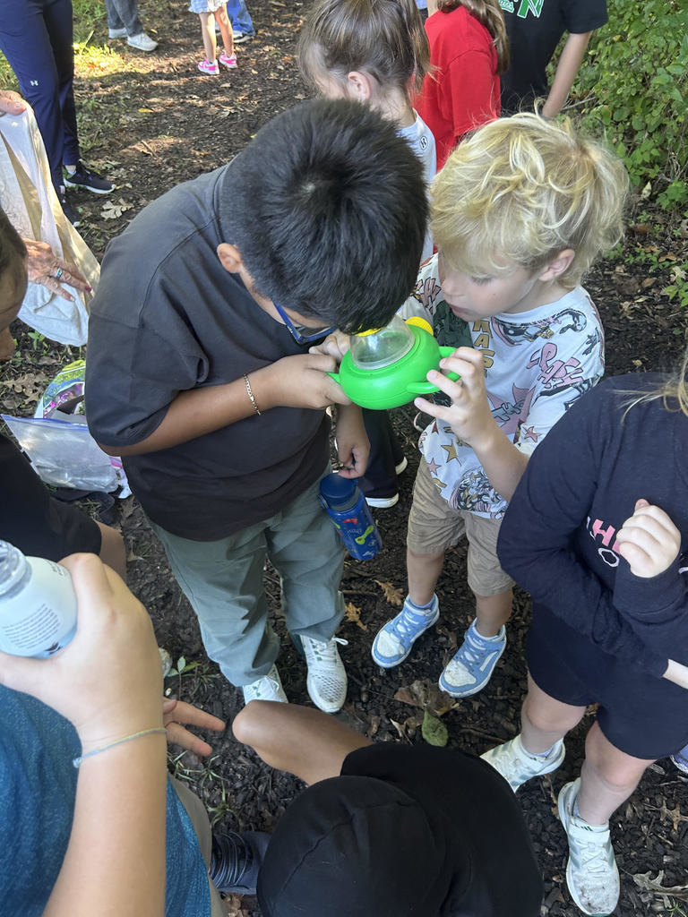students exploring outside on a field trip
