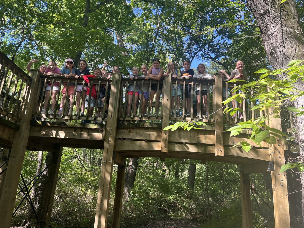 Group of students standing on a wooden bridge looking down with trees in the background.