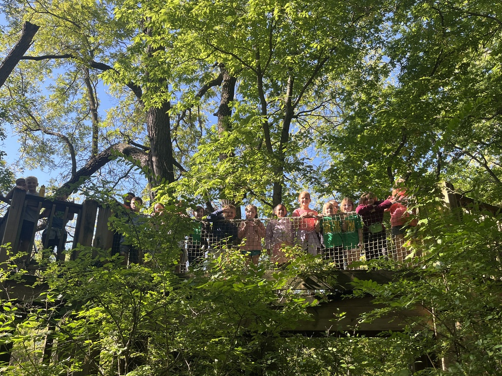 Group of students standing on a wooden bridge with trees in the background.