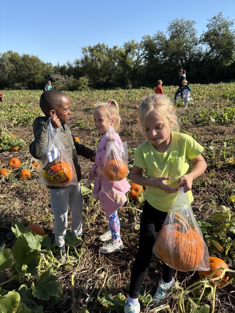Students on a field trip to valas