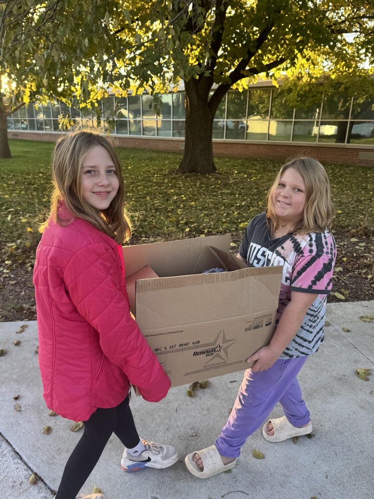 Two girls carrying a box on a sidewalk.