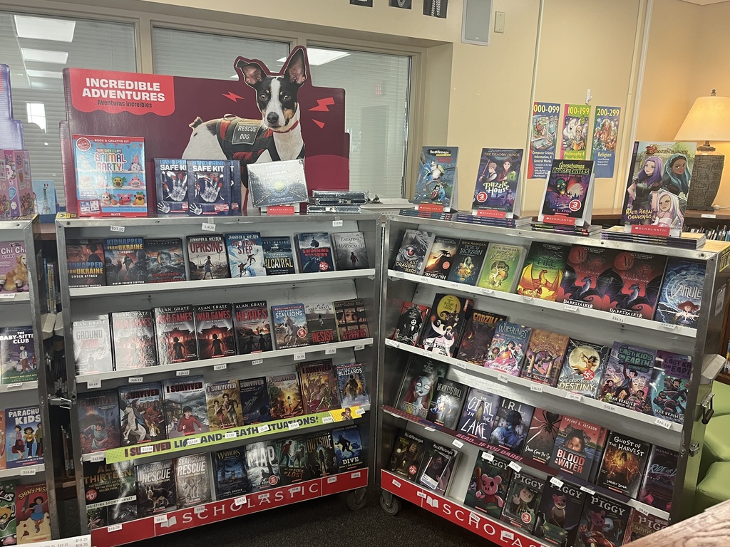 Variety of books in a case for sale during the Scholastic book fair.