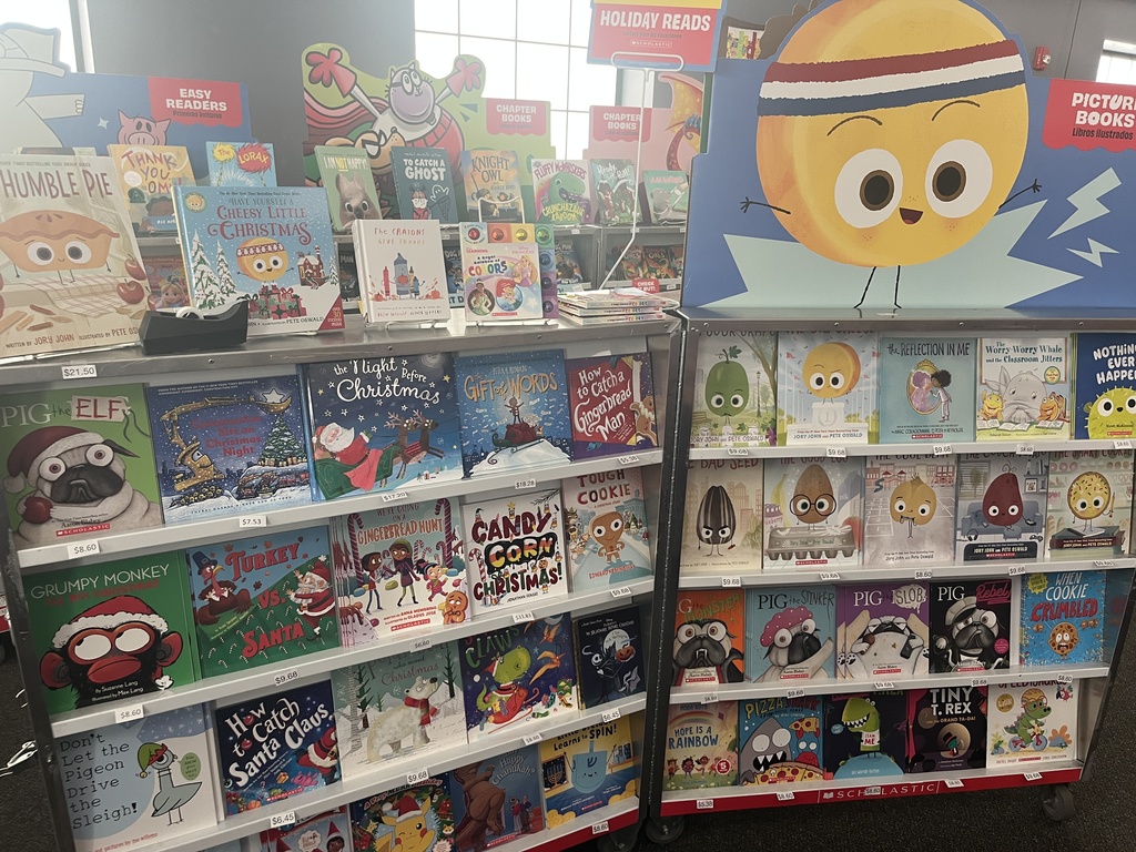 Variety of books in a case for sale during the Scholastic book fair.